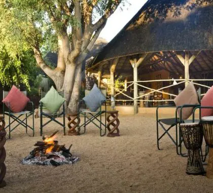 Relax around the fire in the evenings and enjoy a warming glass of wine before dinner.