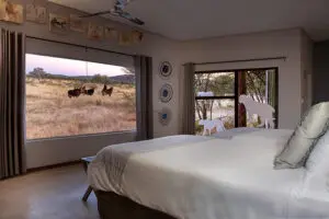 Vista desde su habitación en el Okonjima Plains Camp.