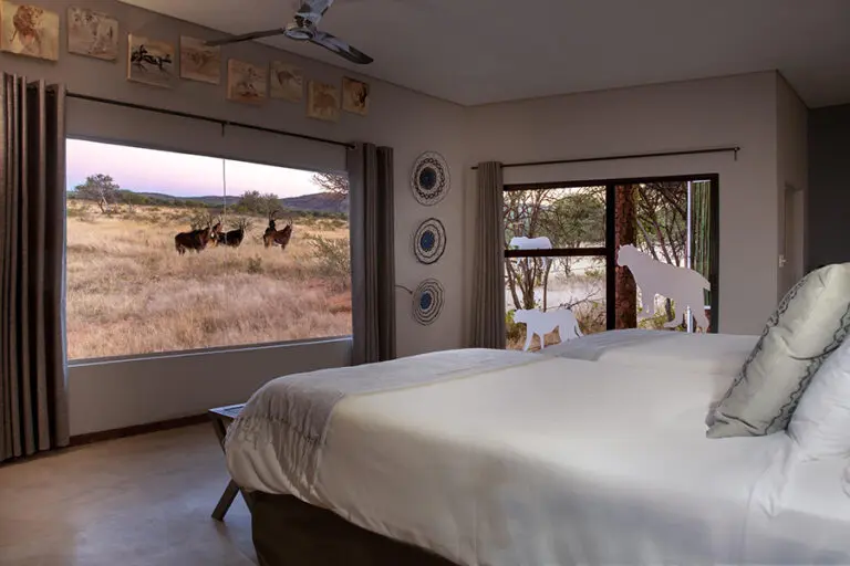 View from your room at Okonjima Plains Camp.