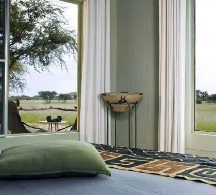 The rooms have lovely views of the surrounding wilderness area.