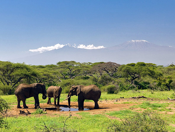 Set on a private conservancy, Ol Donyo Lodge boasts postcard-perfect views of Mt Kilimanjaro.
