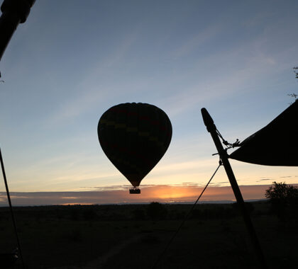 Enjoy a thrilling balloon safari.