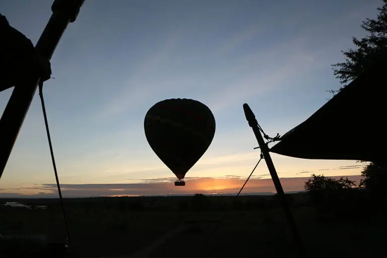Enjoy a thrilling balloon safari.
