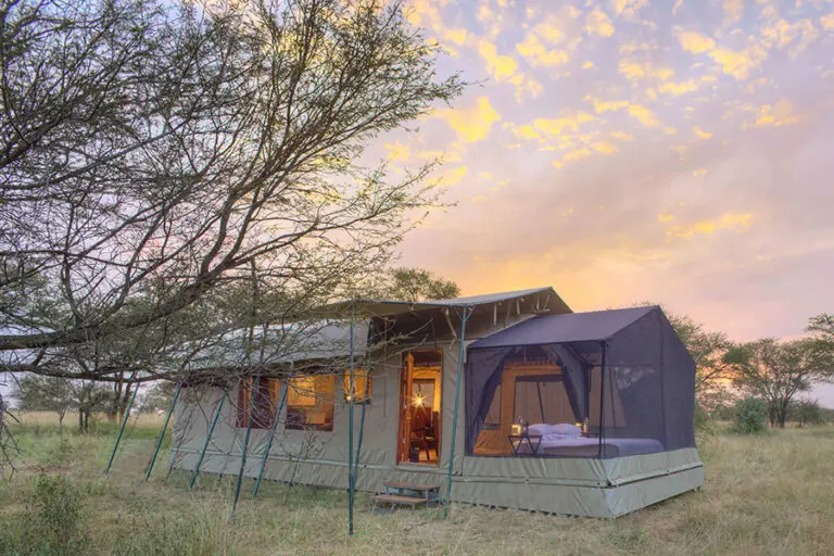 Experience an intimate tented camp.