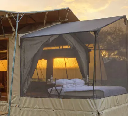 Una experiencia de campamento íntima y personal.