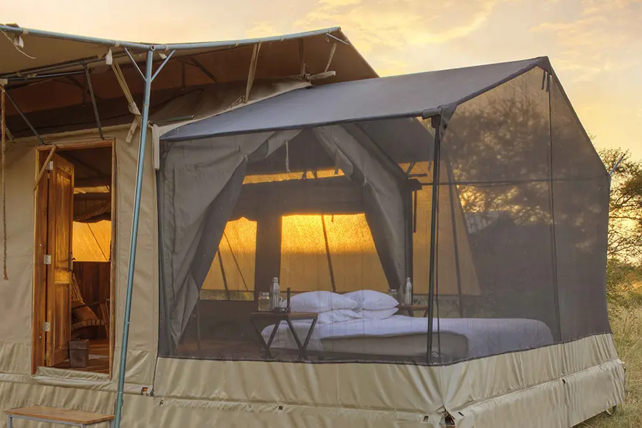 Una experiencia de campamento íntima y personal.