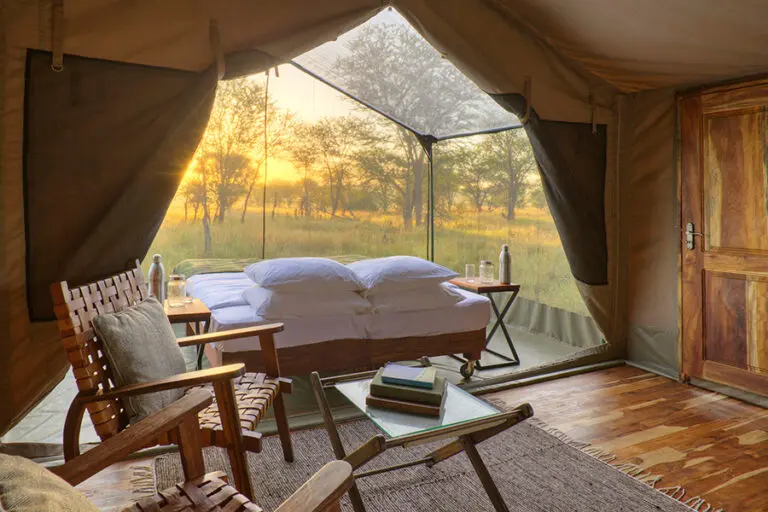 Sleep out in the open in peace.