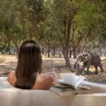 Los encuentros con la fauna más excepcionales | Viejo Mondoro