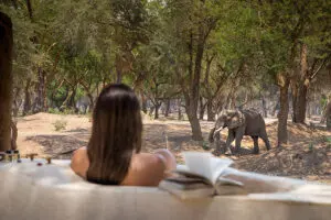 Los encuentros con la fauna más excepcionales | Viejo Mondoro