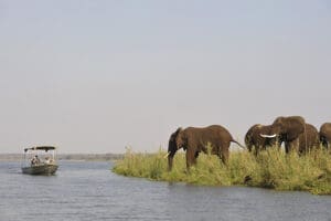 Safaris fluviales.
