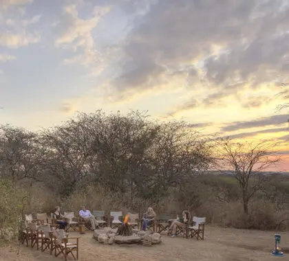 Sundowners en el campamento de Oliver.