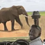 Game drive with passionate guides. 