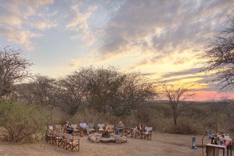 Share stories of animal sightings and get to know your hosts.