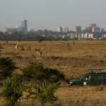 Disfrute de un safari en el Parque Nacional de Nairobi.