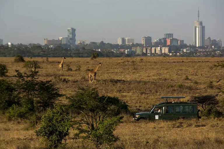 Enjoy a game drive in Nairobi National Park.