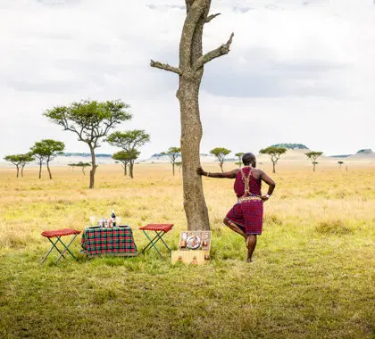 A drinks stop on your game drive. 