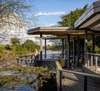 Views of the Mara river from the lodge deck.