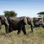 Fantástico avistamiento de animales durante todo el año.