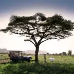 La mejor comida de Bush.