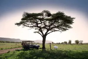 La mejor comida de Bush.