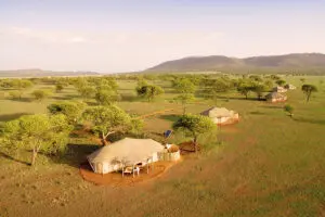 Situado en los bosques vírgenes de Nyaruswiga.