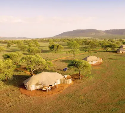 Situated in the pristine woodlands of the Nyaruswiga.
