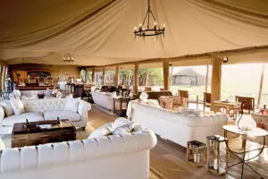 La forma perfecta de relajarse entre safaris.