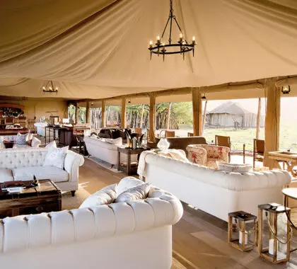 The perfect way to relax between game drives.