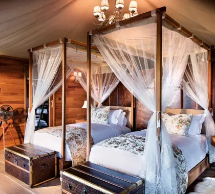 The family tent offers an extra room with twin beds.