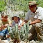 Ongava offers family-friendly accommodation as well as guided safari activities for younger children.
