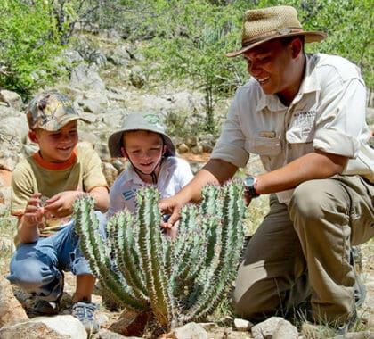 Ongava offers family-friendly accommodation as well as guided safari activities for younger children.
