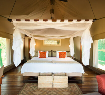 A study in mimimalist safari elegance, Ongava's suites have everything you need for personal comfort.
