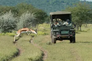 Excellent game viewing & birdwatching.