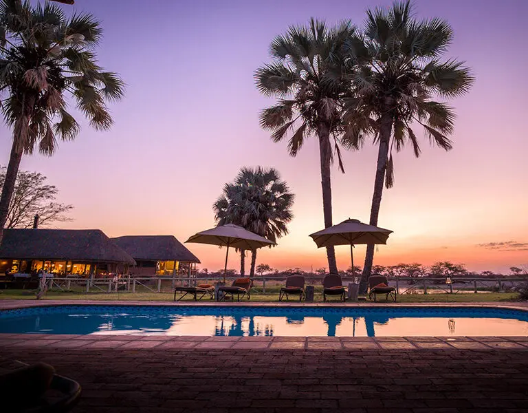 The swimming pool at sunset. 