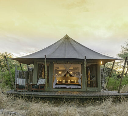 Exterior of your tent at Onguma Tented Camp.