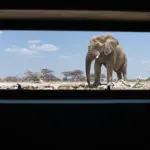 The view from inside the hide.