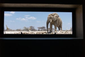 The view from inside the hide.