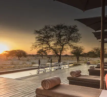 The Spa plunge pool.