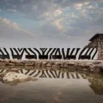The underground hide looks out at the waterhole at ground level.