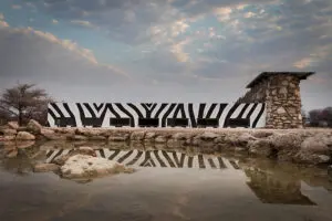 The underground hide looks out at the waterhole at ground level.