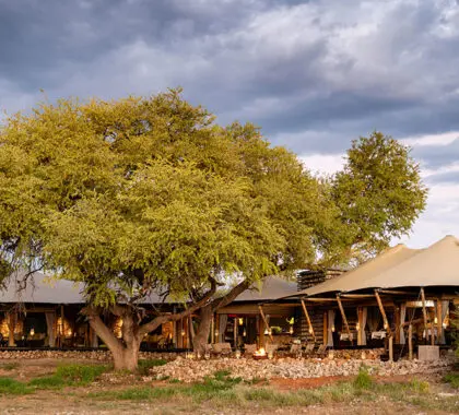 A sophisticated atmosphere & no children under 12 make this camp ideal for discerning travellers.
