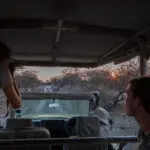 Recorridos por Etosha.