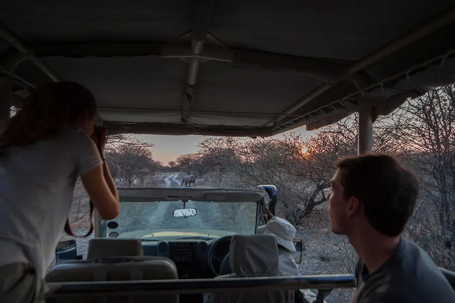 Recorridos por Etosha.