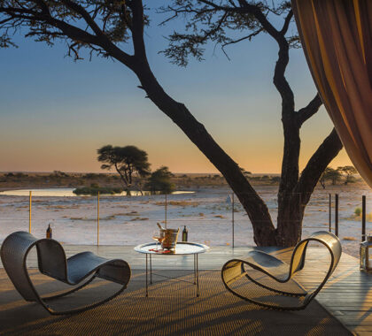 The lodge looks out onto a waterhole for a superb armchair safari. 