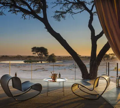 El lodge da a una balsa de agua para disfrutar de un magnífico safari en butaca. 