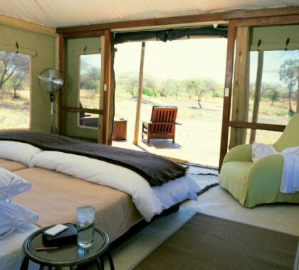 The camp's tented suites are both comfortable & functional; they also have their own en suite bathroom.
