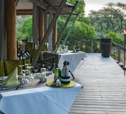 Whether you sit down inside or outside under the stars, meals are served with style at Onguma Tented Camp.
