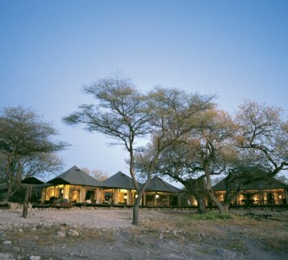 A sophisticated atmosphere & no children under 12 make this camp ideal for discerning travellers.
