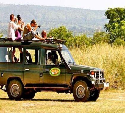 Enjoy a game drive through the scenic Buligi area west of Paraa to the Delta Point

