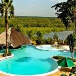 Cool down in the pool after a long morning game drive
